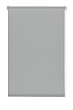 Gardinia, Deco Company Persiana Enrollable Opaca, translúcida, protección contra la luz, antirreflejos, para Ventanas sin taladrar, poliéster, Gris Claro, 50 x 150 cm,23-1387