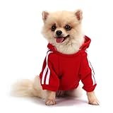 QiCheng&LYS Sueter Mascota,Jersey Perros,Sudadera Perro Ropa ParaCachorros, Sudadera para Chihuahua Cómodo Y Cálido (Rojo, Small)