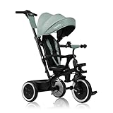 LIONELO Berry Triciclo Multifuncional de Paseo Silla de Paseo de 9 Meses a 5 años a 25 kg Ruedas Grandes de PU, Triciclo Asiento Giratorio 360° Montaje sin Herramientas