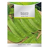 SATURNIA Semillas Huerto Guisantes Tirabeques