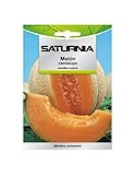 SATURNIA Semillas Melon Cantalupo (3 gramos) Semillas Frutas, Horticultura, Horticola, Semillas Huerto.