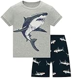 TEDD Pijamas Niño Verano Dinosaurio Algodon Infantil Manga Corta Ropa a Juego Conjunto Edad 11-12 Años