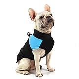 FEimaX Abrigo para Perro Impermeable Chaqueta Cálido de Invierno y Otoño, Ropa de Algodón para Perros Pequeños Medianos y Grandes Mascotas Chaleco de Cachorro y Gato para Clima Frio