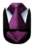 HISDERN hombres Solid Color Jacquard floral tejida corbata panuelo elegante corbata & Pocket Square Set