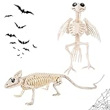 2 Piezas Esqueleto Decoración de Halloween Esqueleto Cuervo Lagarto Esqueleto Falso Animal para Decoración de Halloween Accesorios de Terror Accesorios de Casa Encantada