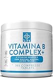 VITAMINA B Complex 365 Comprimidos PiuLife® • Dosis Alta con Vitamina B6, B1, B2, B3 Niacina, B5, B7 Biotina, Vitamina B12 y Acido Folico B9 • Complejo Vitamina B Fatiga Piel Sistema Inmunitario