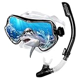 Snorkel Set para Adulto,visión panorámico de 180° Máscara de Buceo Profesional antivaho y antifugas Gafas de Buceo Cristal Templado y Dry Top Snorkel para Hombres Mujeres (Negro)