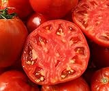 Oxheart – Semillas de Tomate, Lycopersicon esculentum