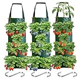 3 bolsas de plantación para fresa, bolsas de cultivo de fresas, colgantes con 8 agujeros + 3 ganchos tipo S, bolsa de cultivo de huerto para verduras flores