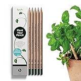 Sprout lápices plantables - Mindful Edition | Pack de 5 lápices de grafito de madera natural | producto ecológico de lápices con frases motivadoras