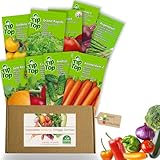 Nojus - Premium Set de Semillas de Hortalizas - 16 Variedades para Jardín y Balcón - Alta Germinación, Fácil Cultivo