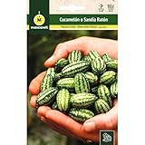 Mascarell Semillas, SANDÍA, Semillas Huerto, CUCAMELON-SANDIA RATON, Crea tu Propio Huerto Urbano y Cultivo en Casa, Semillas de Cucamelón Orgánica, Plantas Hortícolas, 0,05 Gramos