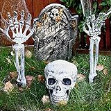 MIRTHBUY Juego de 3 cabezas y manos falsas de esqueleto para decoración de Halloween, decoración de calavera de plástico, fiesta de Halloween, casa encantada